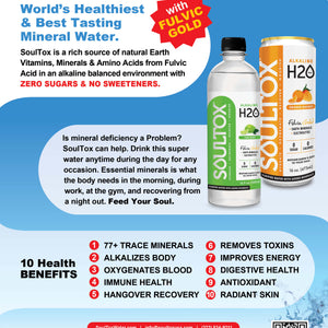 SoulTox 4-Flavor Variety Alkaline Fulvic Gold Bottles 12 Pack