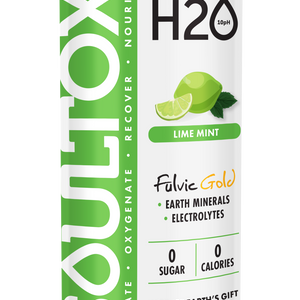 SOULTOX Alkaline Electrolyte Flavored Water - Mineral Infused Hydration Cans, 12 Pack